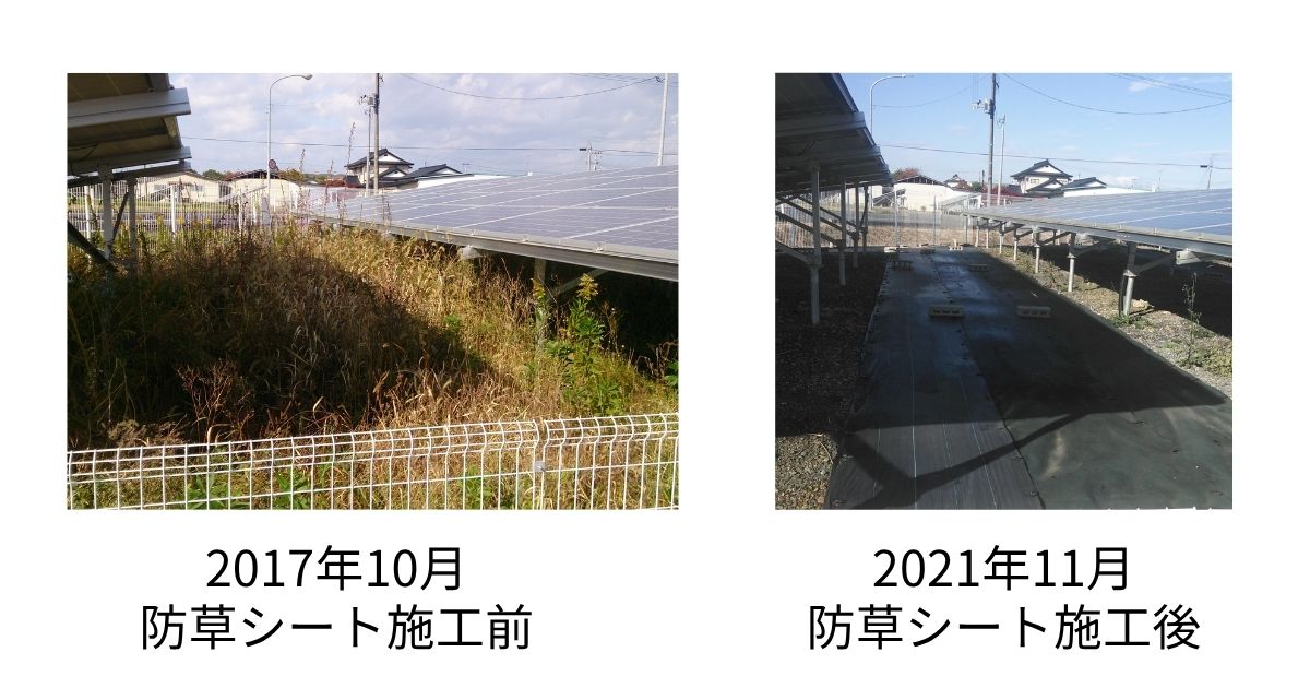 防草シート施工前に雑草が繁茂したアレイ下と、施工後に雑草が抑制された太陽光発電所の比較